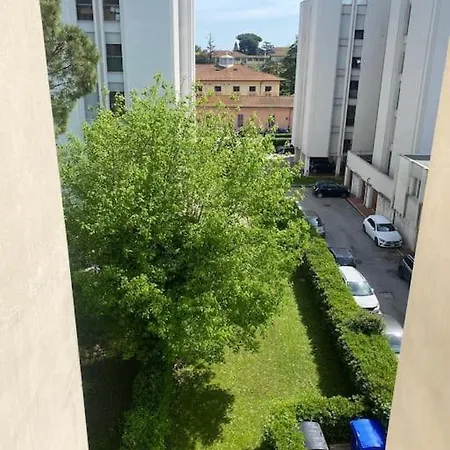 Francishouse-free Parking-close Hospital Cisanello Apartment *